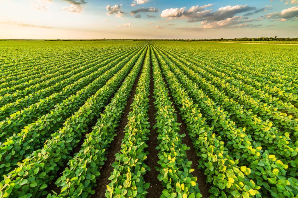 Nesctech Agro - Soluções Completas para o Agronegócio